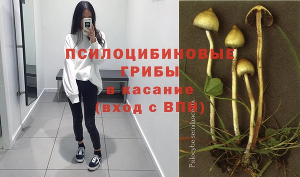 mdpv Верея