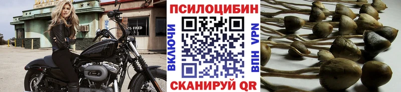 Галлюциногенные грибы Psilocybe  Трёхгорный 